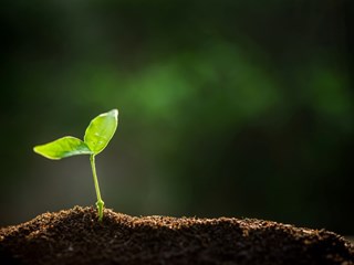 AdobeStock_298389640 (1).jpg