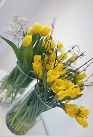 blomm1.jpg