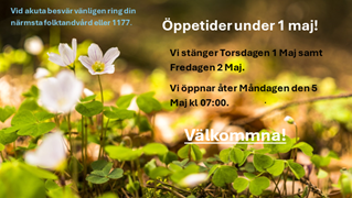 1 Majbild rät .png