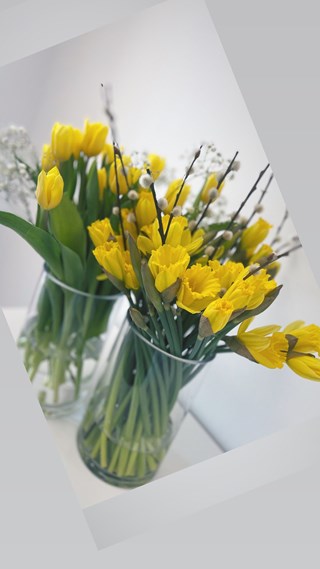 blomma.jpg