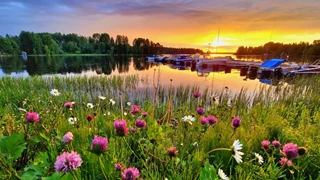 sommarbild.webp