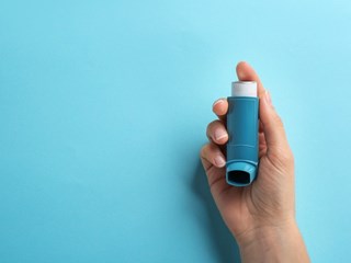 AdobeStock_239920211.jpg