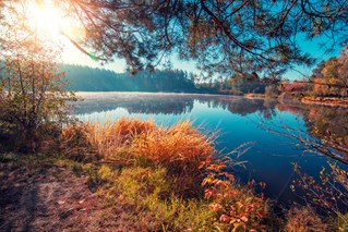 AdobeStock_314300626.jpeg