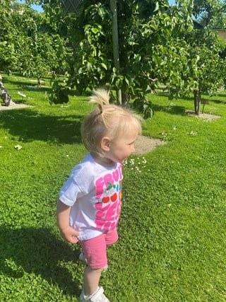 Vaccination mot TBE i Malmö och Lund