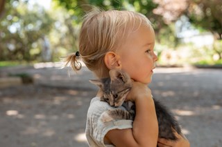 Vaccination mot rabies i Malmö och Lund