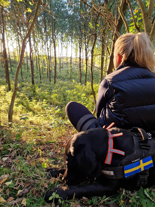 Vaccination mot stelkramp, difteri och kikhosta