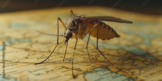 Malariatabletter inf&ouml;r resa