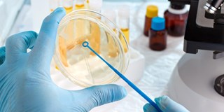 AdobeStock_7420 2000x1000.jpeg